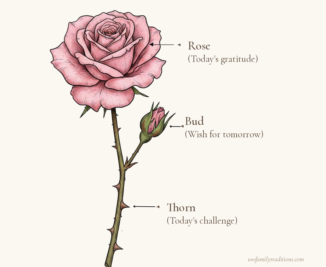 Rose Thorn Bud