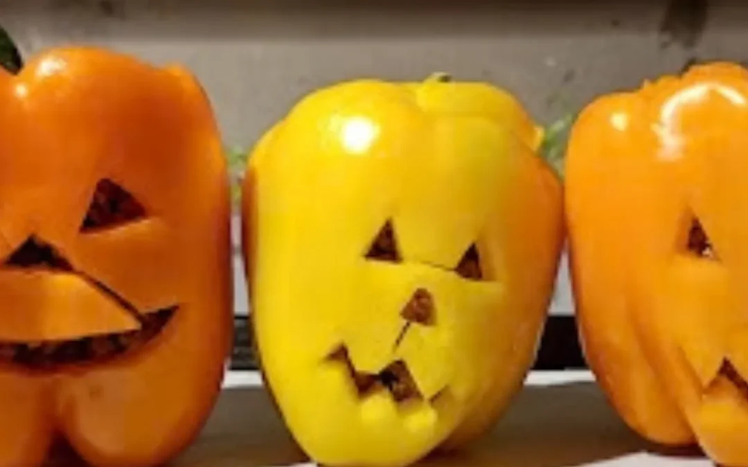 Nº 008 – Halloween Capsicum Carving